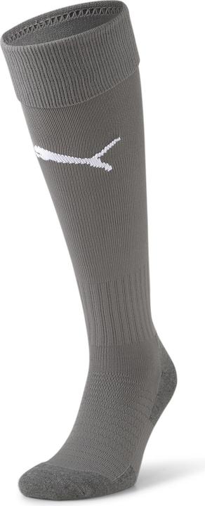 Actual product image Puma Team LIGA Socks CORE-703441 (39, 42)