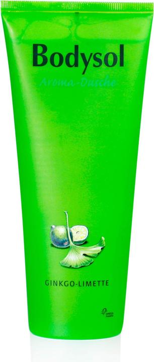 Produktbild Omega Pharma Bodysol Aroma-Duschgel Ginkgo-Limette, 250 ml XDG (250 ml)