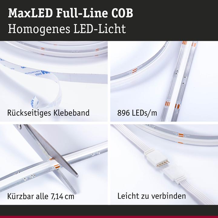 Actual product image Paulmann MaxLED 1000 Full-Line COB Stripe Set (RGBW, 300 cm, Indoor)