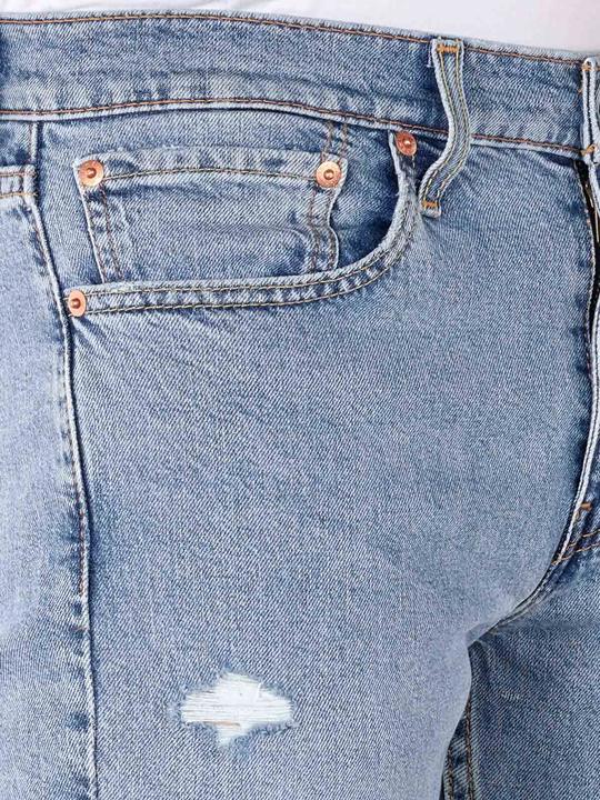 Actual product image Levis 10020219 (W31/L30)