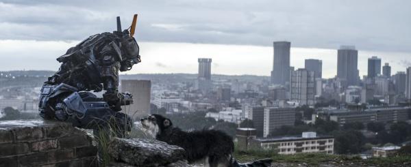 Produktbild Chappie (DVD, 2015, Deutsch, Französisch, Niederländisch, Arabisch, Englisch)