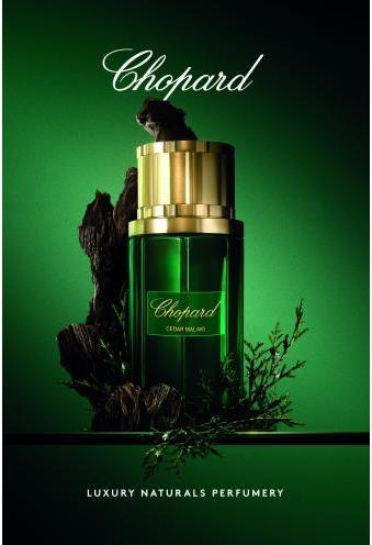 Image du produit Chopard Cèdre de Malaki (Eau de parfum, 80 ml)