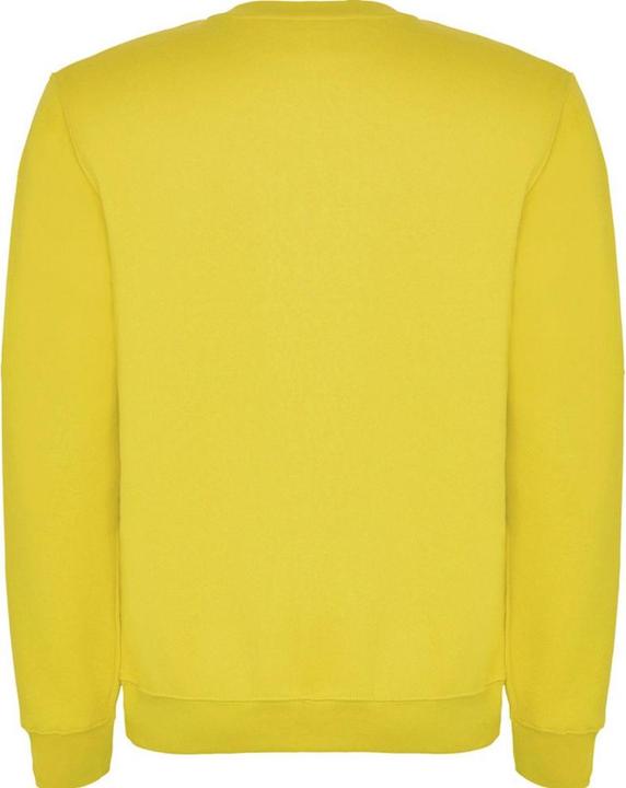 Actual product image Alpinia Unisex Adult Clasica Crew Neck Sweatshirt (S)