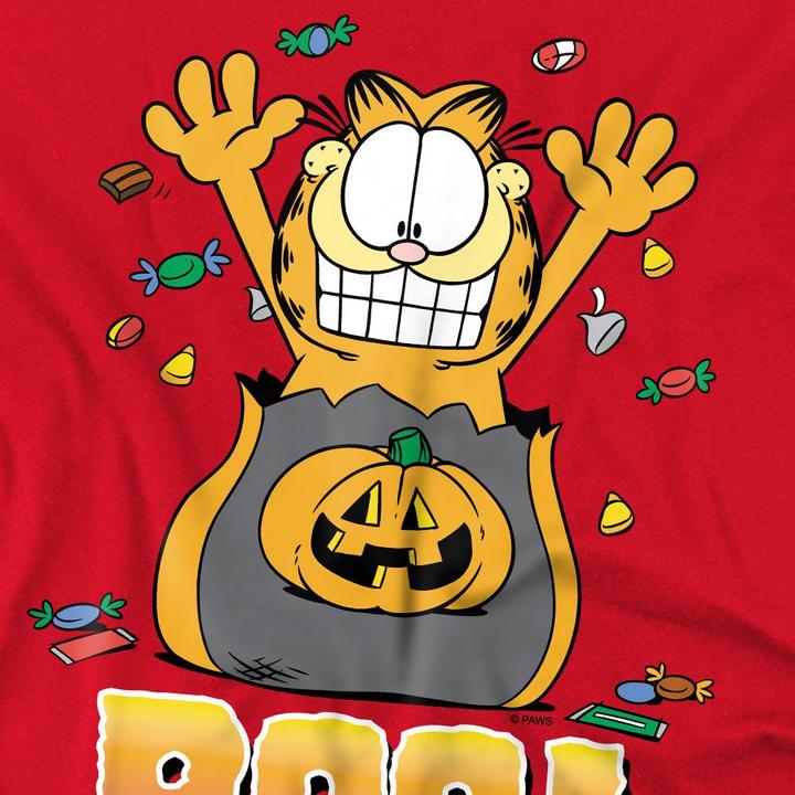 Actual product image Garfield Mens Boo! T-Shirt (4XL)