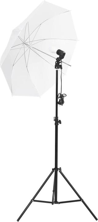 Image du produit VidaXL Remi (300 cm, 230 cm)