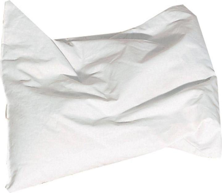 Bisal Oreiller de millet biologique (40 x 60 cm)