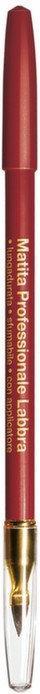 Actual product image Collistar Professional Lip Pencil (16 Ruby)
