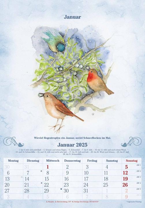 Image du produit Alpha Edition Calendrier du centenaire 2025 Calendrier mural, 23,7x34cm, calendrier illustré avec (Couverture rigide, Allemand)