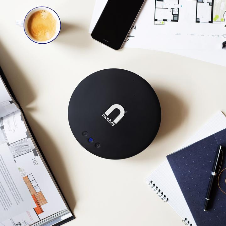 Actual product image Niceboy VOICE Call BT