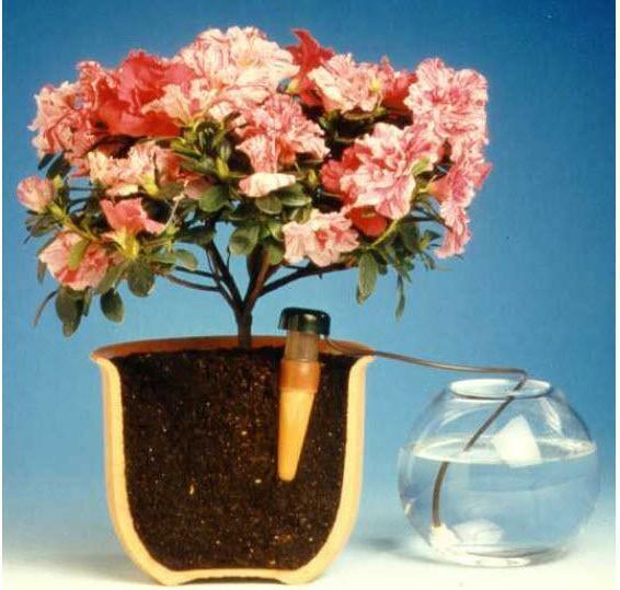 Produktbild Blumat Wasserspender (Tonkegel)