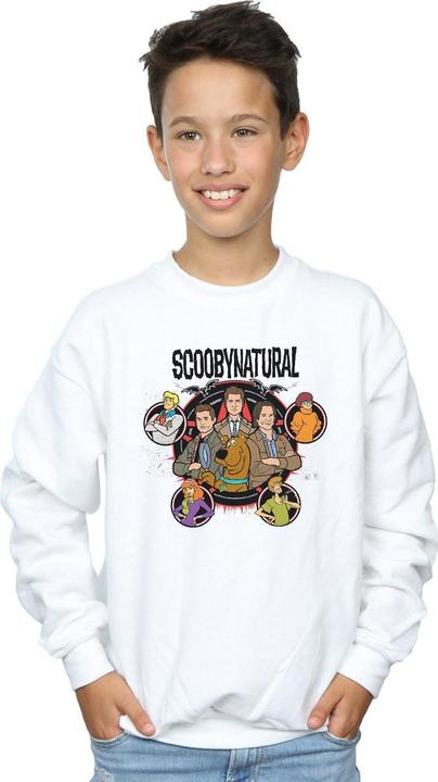 Image du produit Absolute Cult - Sweat CHARACTERS STAR - Garçon (116)