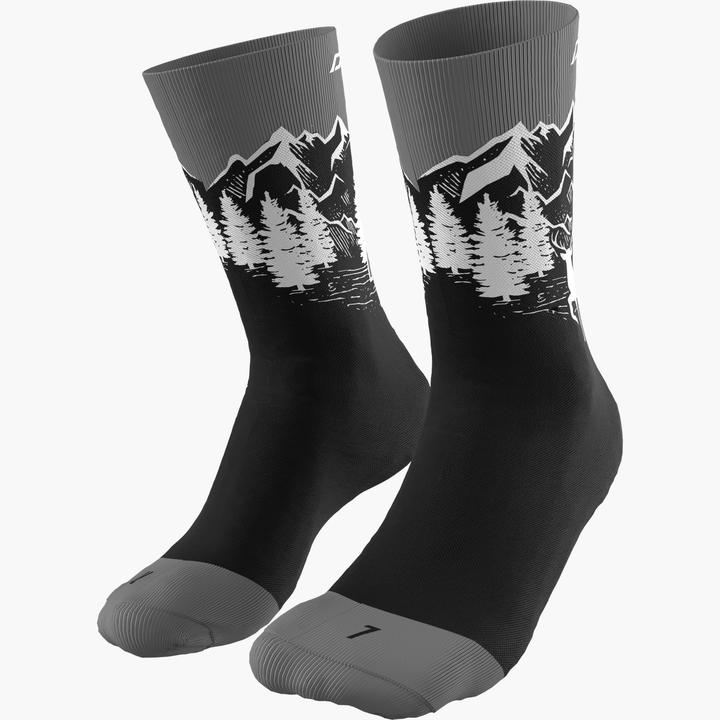 Image du produit Dynafit Chaussettes Stay Fast unisexes (43 - 46)