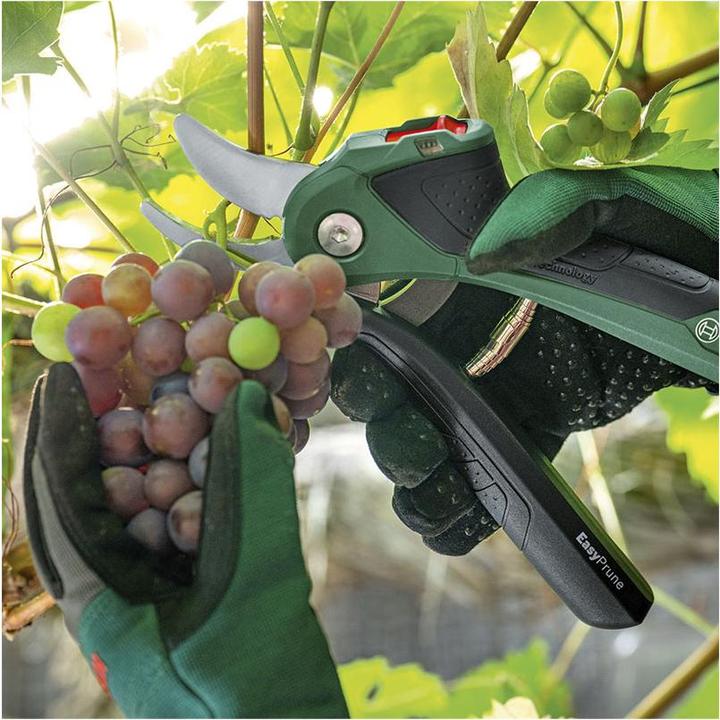 Actual product image Bosch Home & Garden EasyPrune
