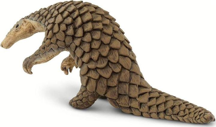 Image du produit Safari Pangolin