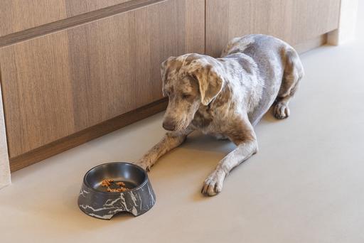 Actual product image Designed by Lotte Dog bowl Meis (0.70 l)