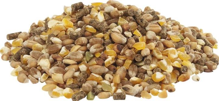Produktbild Versele Laga Country Best für Legehennen, 20 kg # (20 kg)