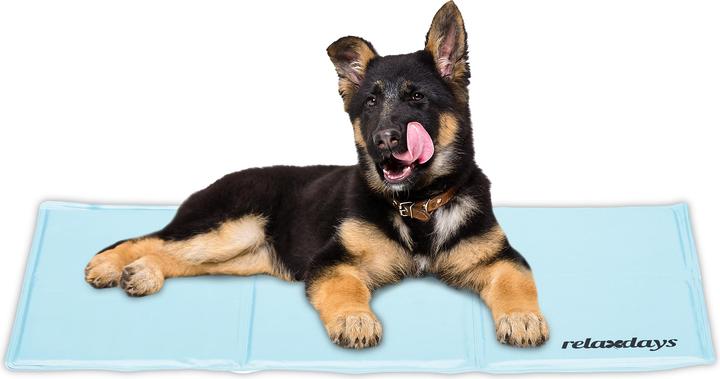 Actual product image Relaxdays Cooling mat (Dog)