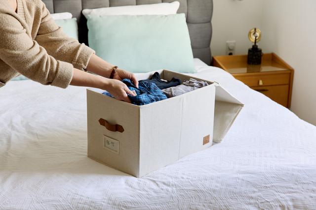 Produktbild Love it Store it Premium Klappdeckelbox - XL (50 x 33 x 32.5 cm, 52.80 l)