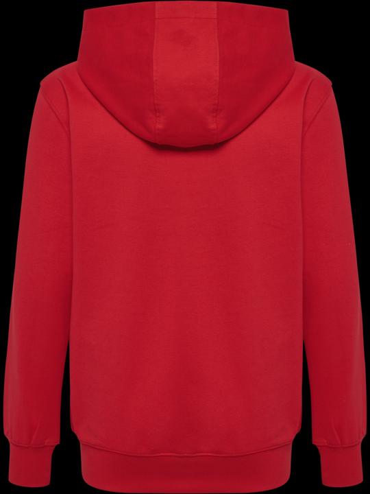 Actual product image hummel HMLGO 2.0 HOODIE KIDS (140)