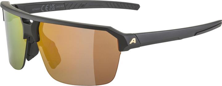 Actual product image ALPINA SPORTS Swift HR (Matt black, Gold)
