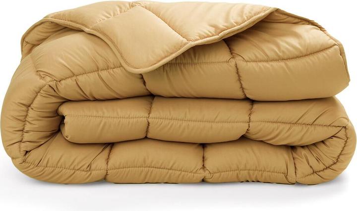Immagine prodotto La Redoute Interieurs Lri Synthetique Color (240 x 220 cm)