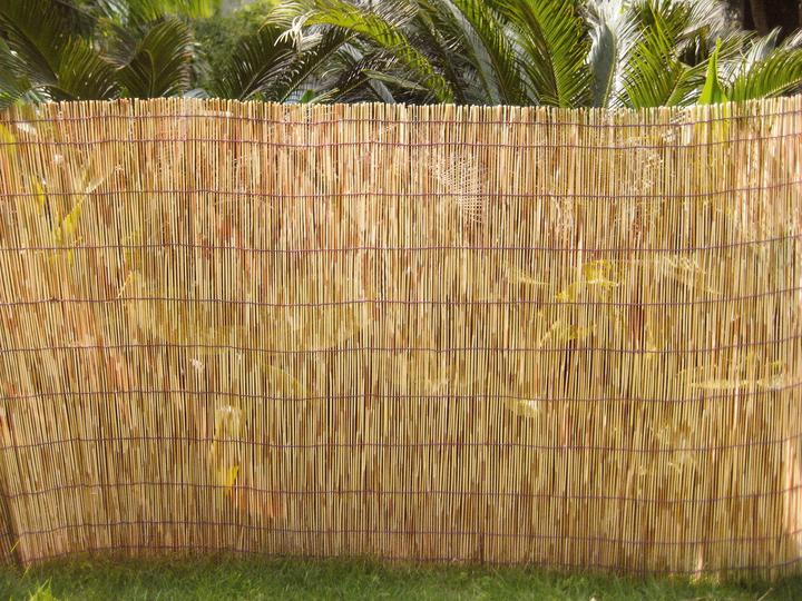Image du produit Do it + Garden Natte de roseaux pelées (500 cm)