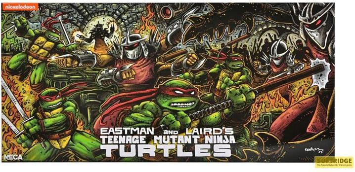 Actual product image Neca Teenage Mutant Ninja Turtles