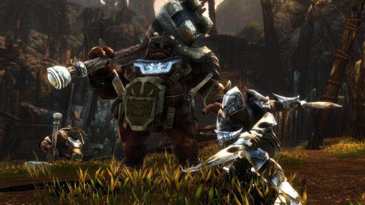 Actual product image THQ Kingdoms of Amalur Re-Reckoning (PS4, EN)