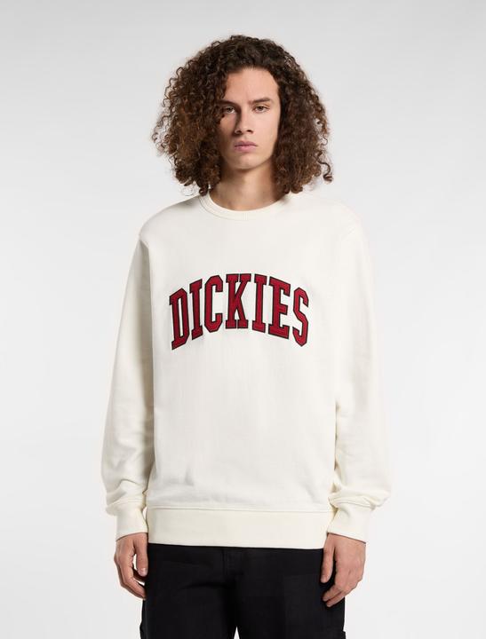 Actual product image Dickies Aitkin Sweatshirt Egret (M)