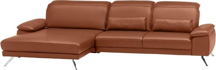 Cat. 160, Brandy La Tempra