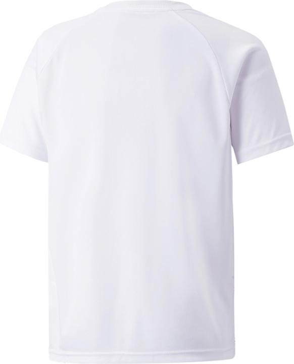 Image du produit Puma teamLIGA Jersey rayé Jr-704927 (164)