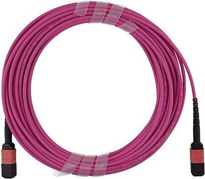 Immagine prodotto BlueOptics Cavo trunk MTP in fibra ottica OM4 12 fili 7,5 metri tipo A (7.50 m)