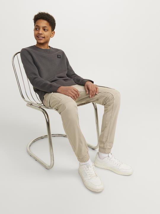 Produktbild Jack & Jones Jungs Paul Flake Cargohose (140)
