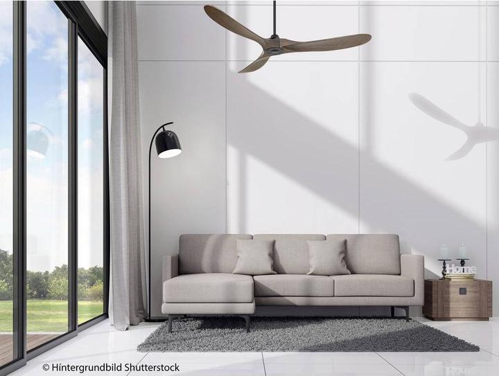 Immagine prodotto CasaFan Eco Genuino (20 dB)