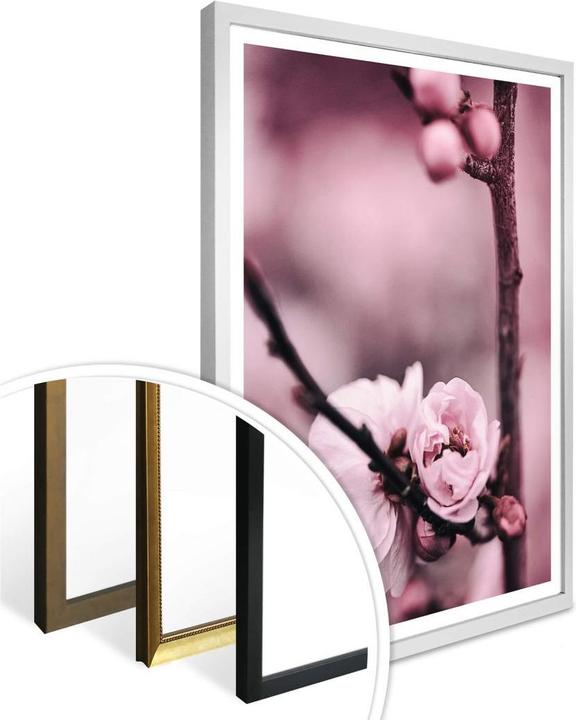 Produktbild Trenddeko Blütenknospen (40 x 50 cm)