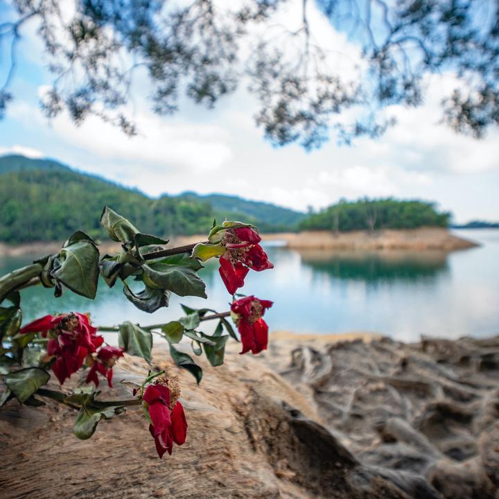 Immagine prodotto Laowa 10 mm 1:4 Pancake Fuji X (Fujifilm X, APS-C / DX)