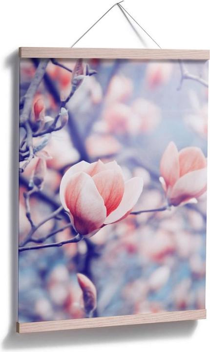 Produktbild Trenddeko Magnolienknospe (40 x 50 cm)