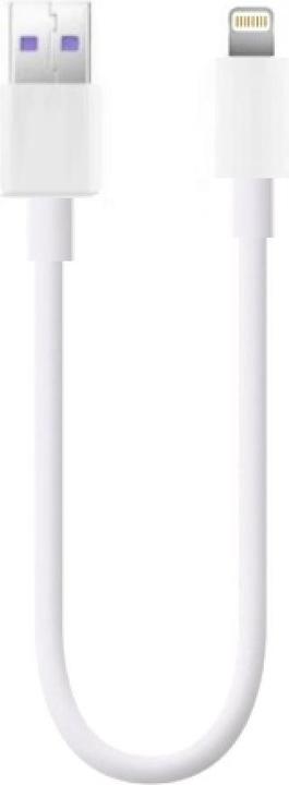 PowerGuard USB A – Lightning (0.20 m, USB 3.1)