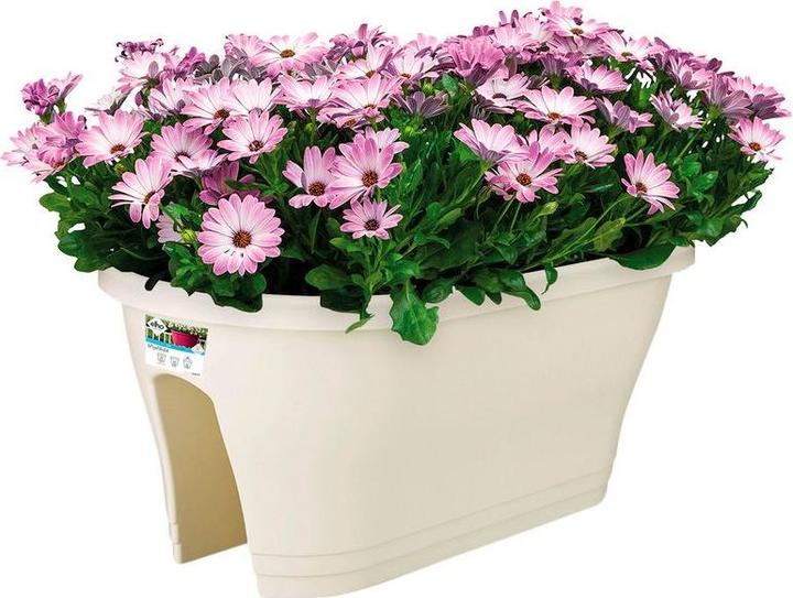 Produktbild Elho Corsica (28.30 cm)