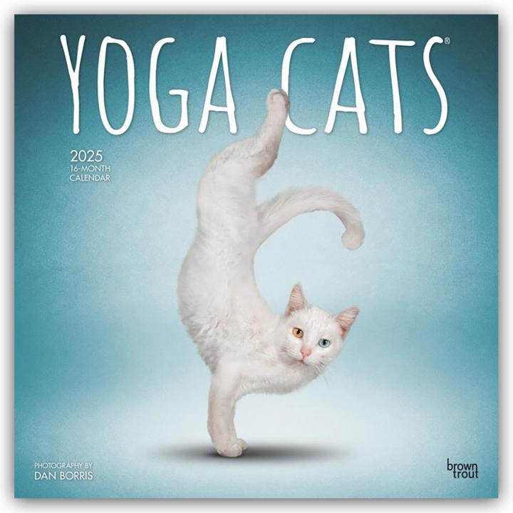 Produktbild Yoga Cats - Yoga-Katzen 2025 - 16-Monatskalender (30.5 x 30.5 cm, Harter Einband, Deutsch)