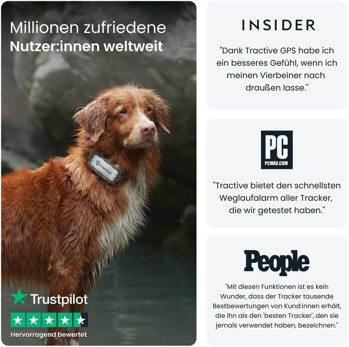 Actual product image Tractive GPS Dog (XL, Dog, Dog sport, Walks, Jogging)