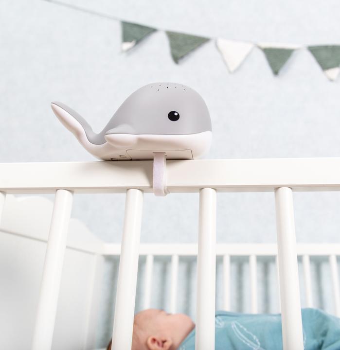 Actual product image ZaZu Wally