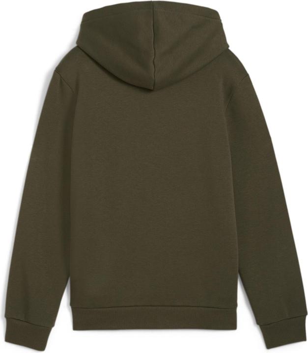Actual product image Puma POWER Graphic Hoodie FL B (164)