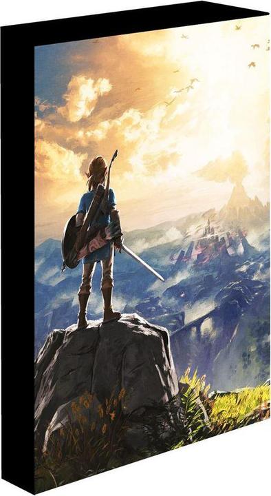 Immagine prodotto The Legend of Zelda - Toile lumineuse INTO THE WILDS (40 x 30 cm)