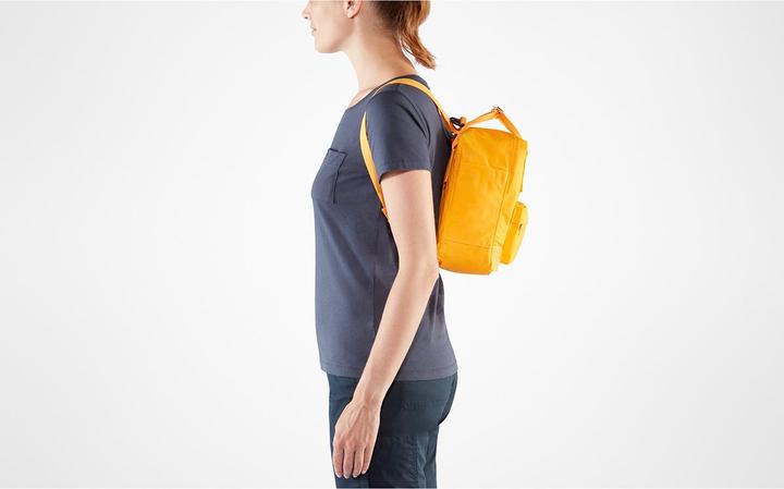 Immagine prodotto Fjällräven Kånken Mini (7 l)