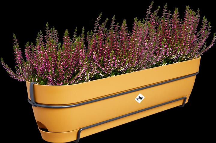 Actual product image Elho Vibia Campana Balcony Box Allin1 (26 cm)