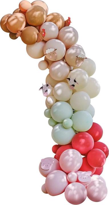 Image du produit Ginger Ray Arche de ballons "Animaux de la ferme (1 x)
