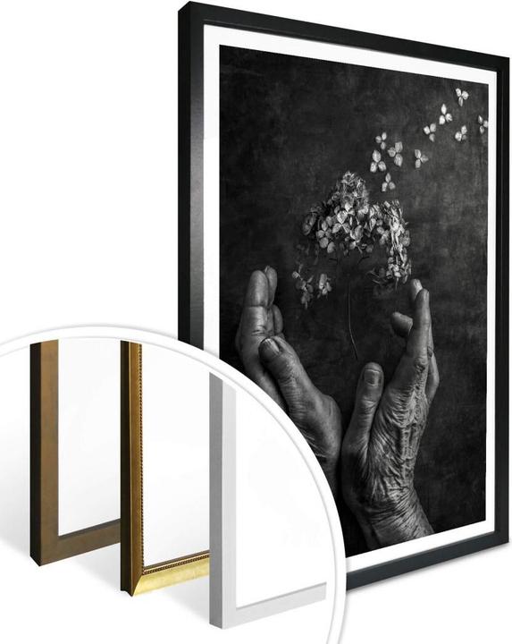Produktbild Trenddeko Tempus fugit (60 x 80 cm)