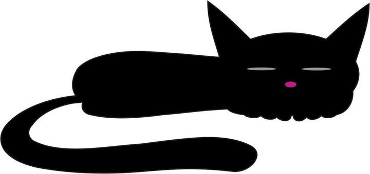 Immagine prodotto Trenddeko Gatto nero che dorme (100 x 47 cm)
