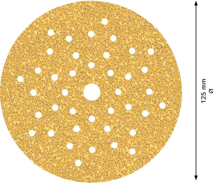 Actual product image Bosch Professional Zubehör Expert C470 Sandpaper multi-hole for random orbital sander, 125 mm, G 40, 5 pcs. (40)